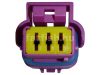 FCI 3 pin connector purple