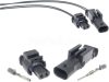 Hirschmann 2 pin connector male